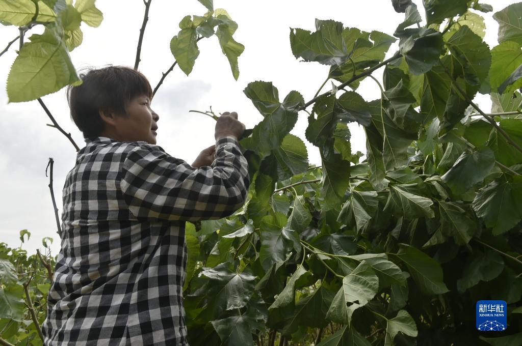 大富豪8单机游戏